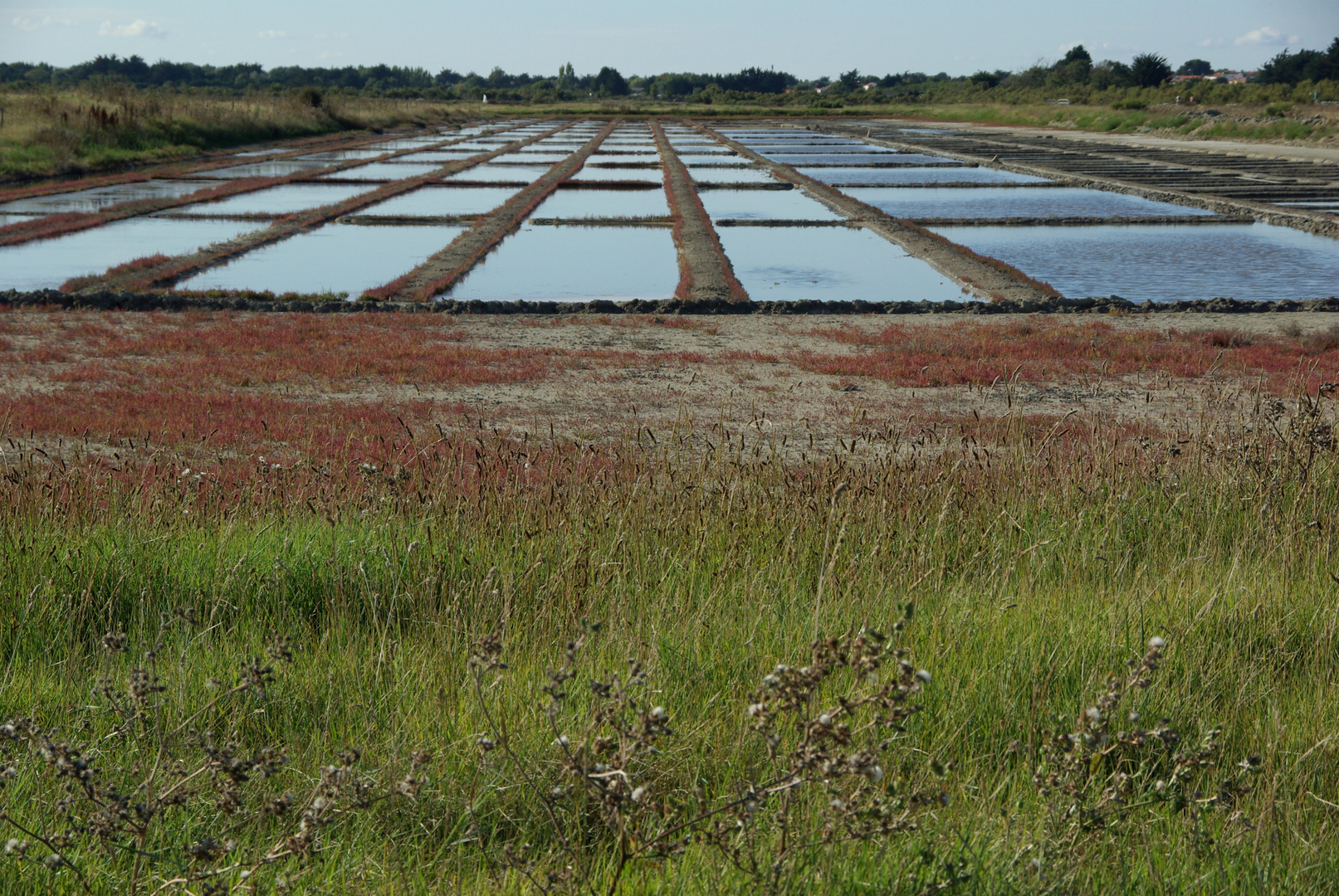 OLERON MARAIS SALANT