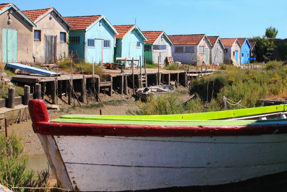 Oléron marée basse de ragon 