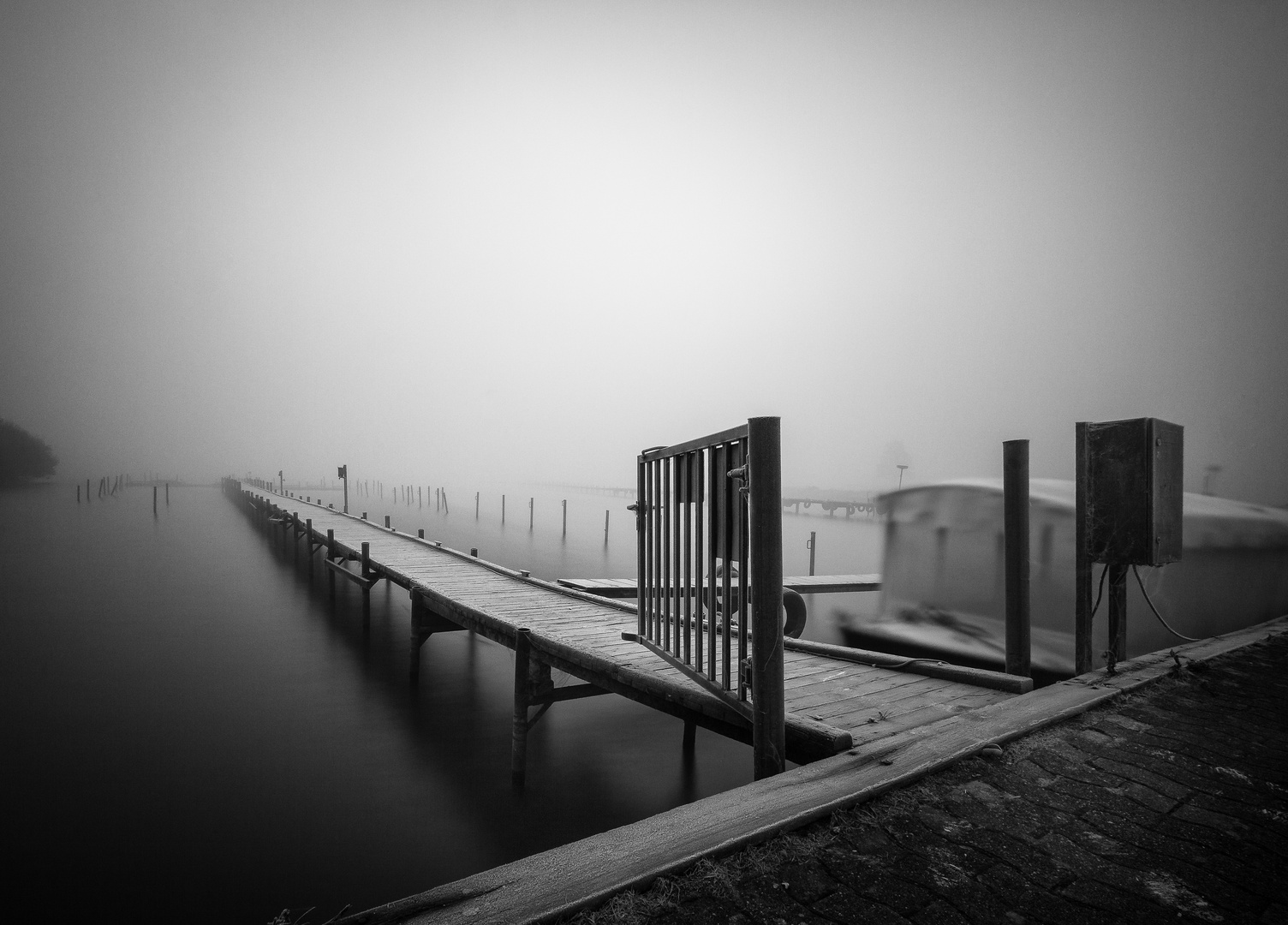 Olgahafen (Dümmer See)  im frostigen Nebel I