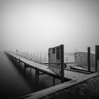 Olgahafen (Dümmer See)  im frostigen Nebel I