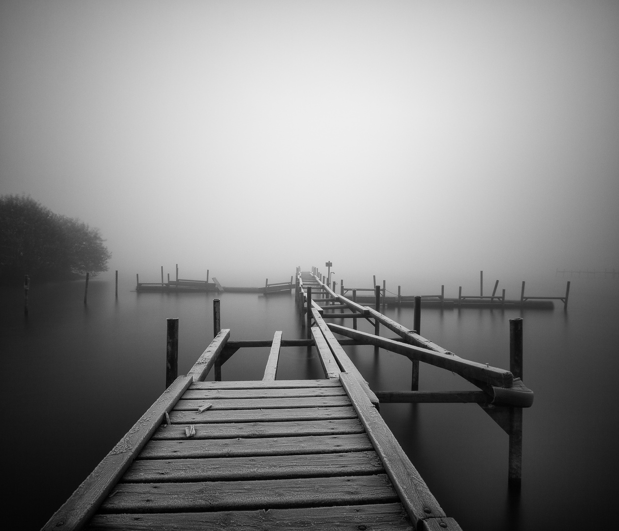 Olgahafen (Dümmer See) im frostigen Nebel II