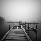 Olgahafen (Dümmer See) im frostigen Nebel II