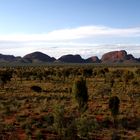 Olgas (Australien)