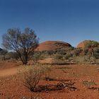 Olgas / Kata Tjuta #2