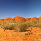 Olgas Panorama