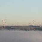 Éoliennes de la région de Bastogne vues depuis la frontière Grand-Ducale