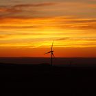 Éoliennes sur fond de soleil levant