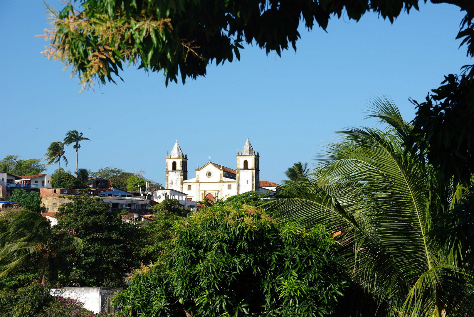 Olinda 09