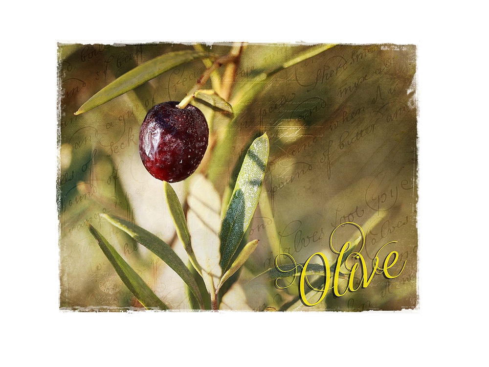 ~ Olive ~