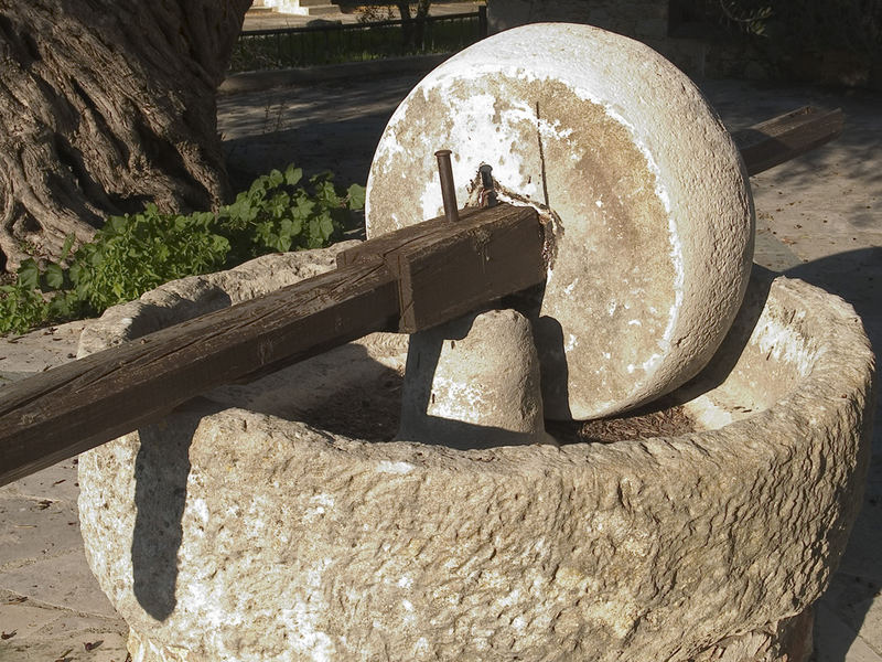 Olive Press, Paphos