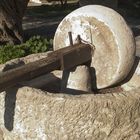 Olive Press, Paphos