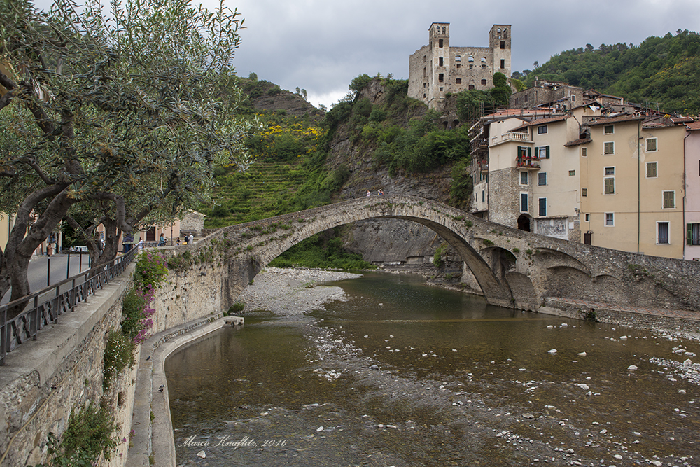 Olive trees and castle