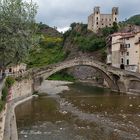 Olive trees and castle