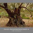 Oliven-Baum-4