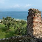 Olivenhain, der Kleine - Grotte di Catullo