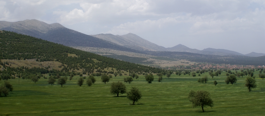 Olivental, Türkei