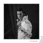 Oliver ( Elvis ) Steinhoff