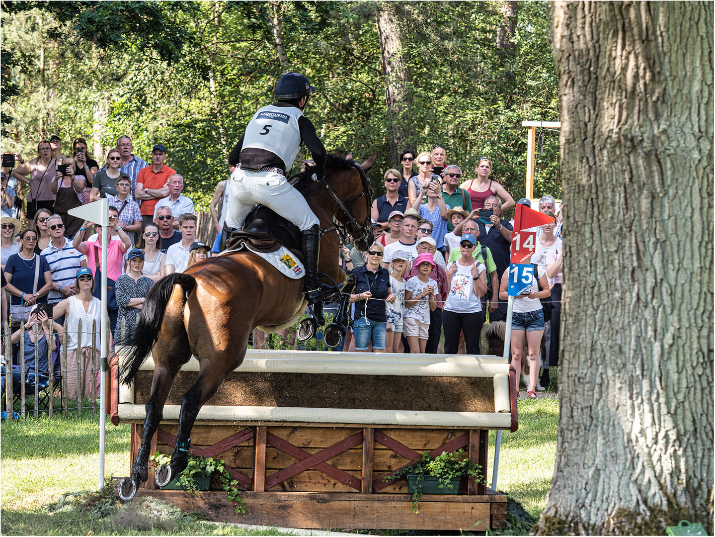 Oliver Townend (GBR) mit Lukas