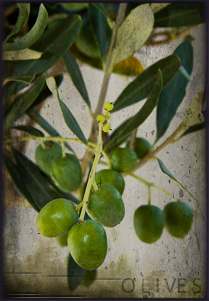 Olives