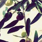 Olives