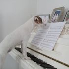 Olivia beim Klavierspielen