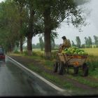 Olivier PAQUET   Contraste, Roumanie