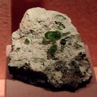 Olivine @ Mineralogisches Museum in Hamburg