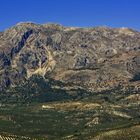 Olivos en Sierra Mágina