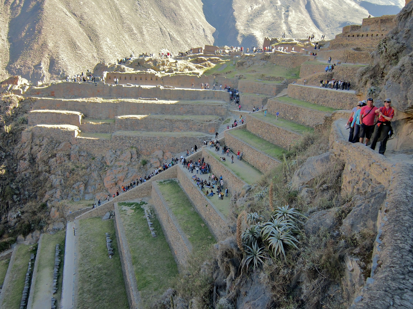 OLLANTAYTAMBO 5