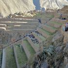 OLLANTAYTAMBO 5