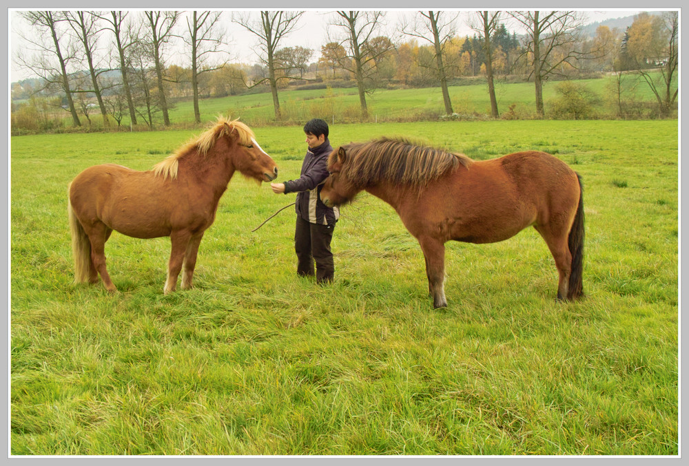 Olli (links ) mit seiner neuen Freundin Maja (rechts ) In der Mitte meine Tochter.