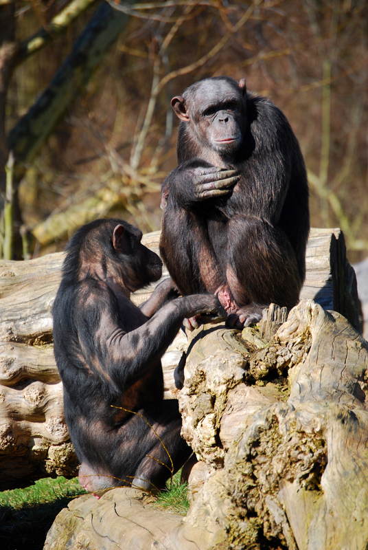 OLLI UND EVA