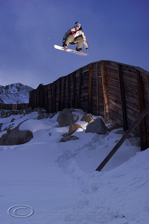 ollie the fence