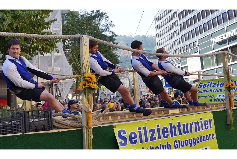 OLMA-Umzug 2017: Am gleichen Strick ziehen