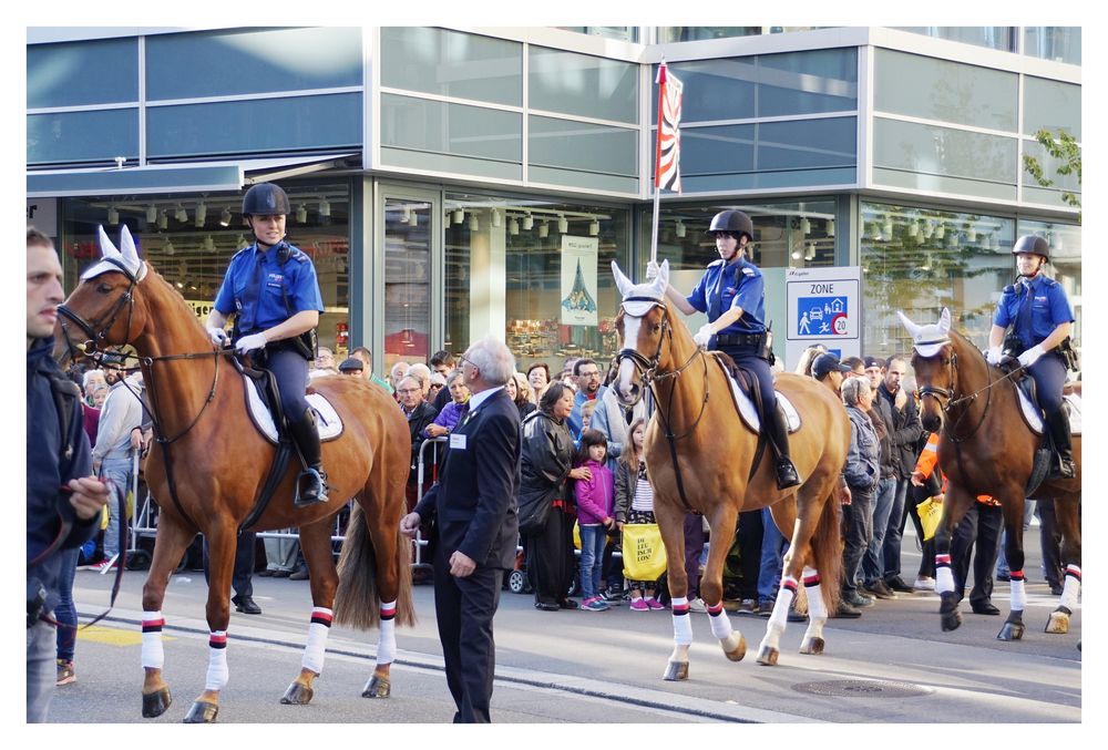 OLMA-Umzug 2017: berittene Polizei