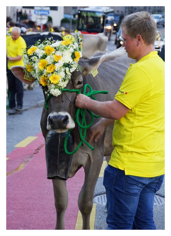 OLMA-Umzug 2017: Der Kopfschmuck