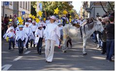 OLMA-Umzug 2017: Pegasus und die Sternenwelt... ;-)