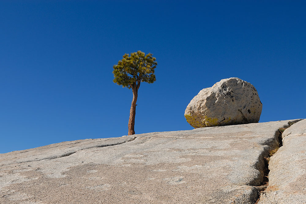 Olmsted Point