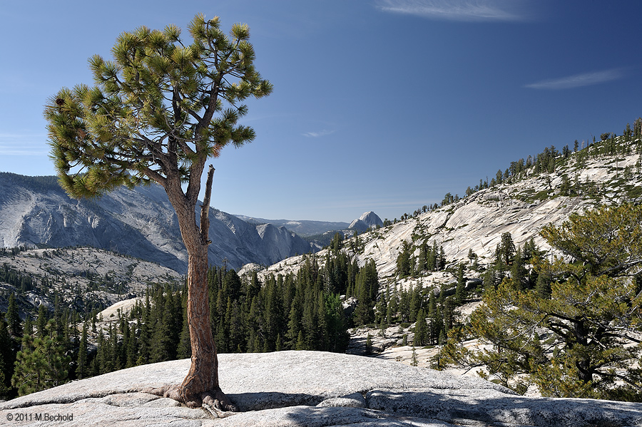 Olmsted Point