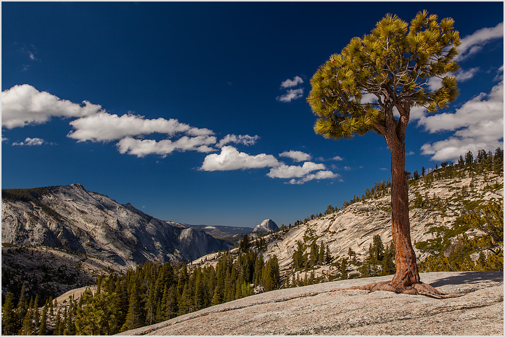 Olmsted Point