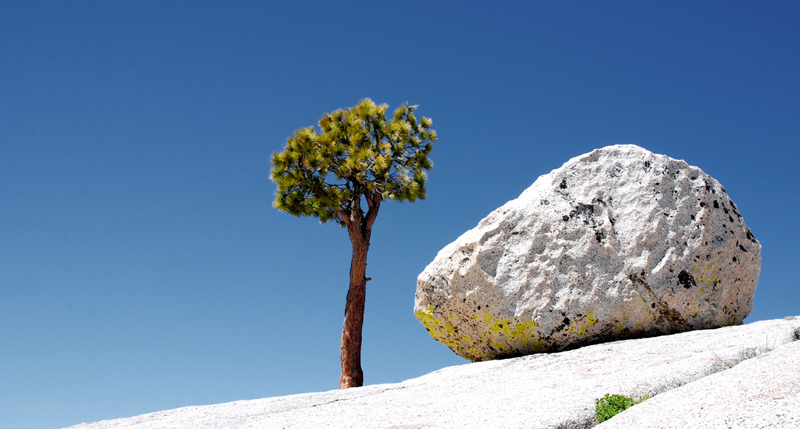 Olmsted Point - Yosemite Nationalpark