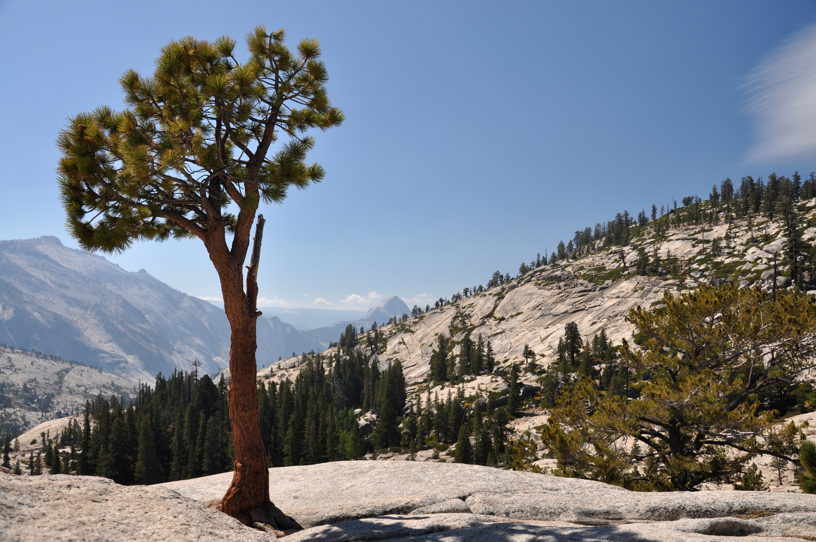 Olmsted Point, Yosemite NP, California