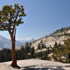 Olmsted Point, Yosemite NP, California