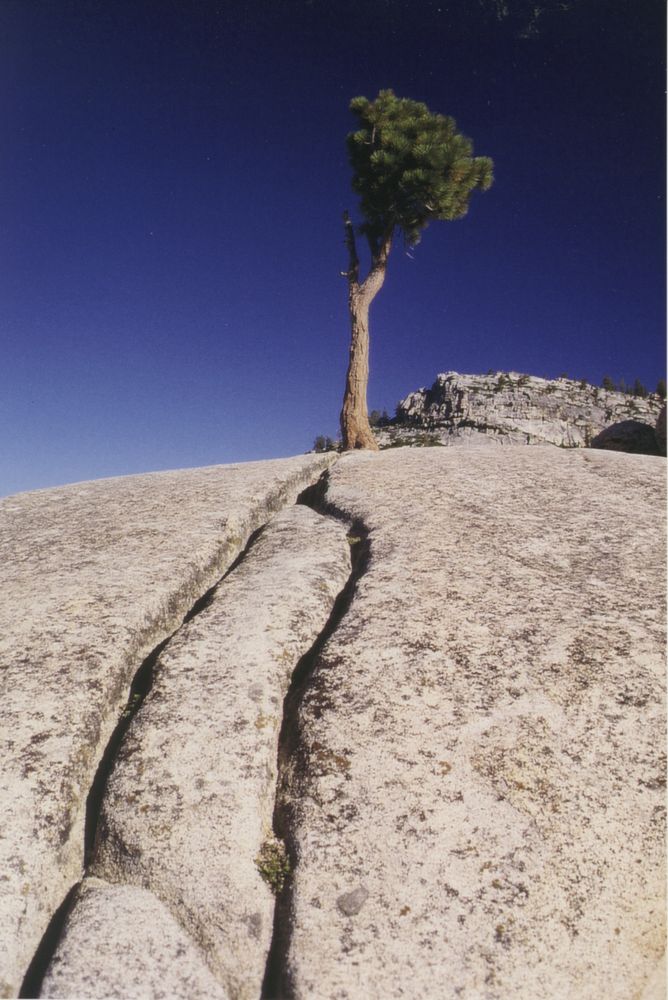 Olmsted Point, Yosemite NP