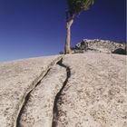 Olmsted Point, Yosemite NP