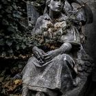 Olsany Cemetery (Prague)