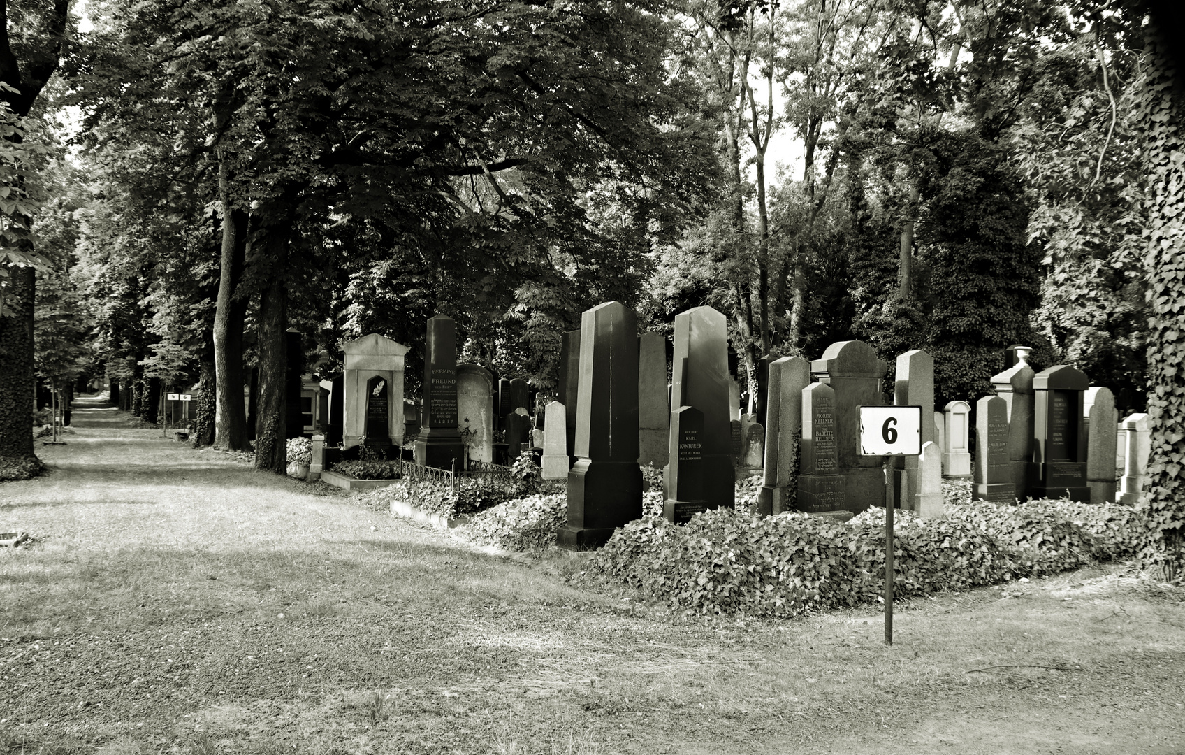 Olsany Friedhof