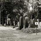 Olsany Friedhof