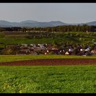 Olsberg Panorama