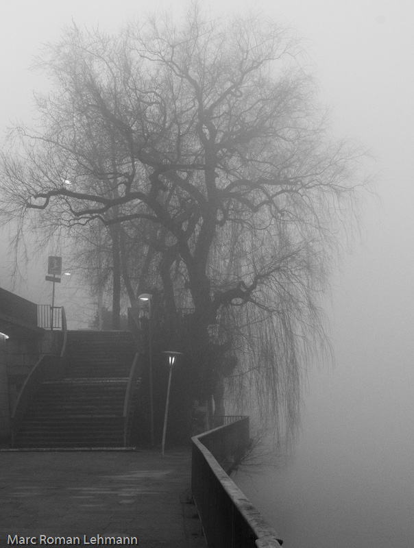 Olten im Nebel